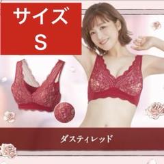 未開封✴︎正規品LUNAルーナナイトブラ+ショーツセット【アンティークブラック】I Luna ショーツ ナイトブラ セット luna 公式 LUNAナチュラル