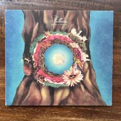 未開封 KENMOCHI HIDEFUMI FALLICCA アナログ LP Amazon.co.jp: Falliccia: ミュージック