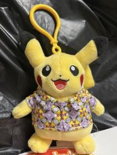 激レアピカチュウバティックシリーズ中小セット海外限定バリ島