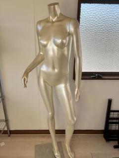 マネキン シャンパンゴールド