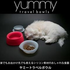 ヤミートラベルボウル