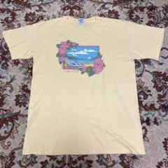 90s アート　景色　USA製　シングルステッチ　Tシャツ　ヴィンテージ