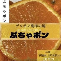 メルカリ最安値】訳ありデコポン 10kg 不知火 シラヌイ みかん