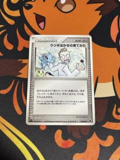 ウツギはかせの育てかた ポケモンカード