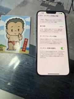 iPhone 13 Pro Max 128GB 本体