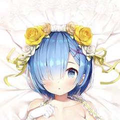 正規品 未開封 抱き枕カバー メイド服ver レム(がおう)　まかろん大帝 C98 まかろん大帝 レム 抱き枕 カバー (メイド服ver.) がおう