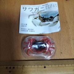 希少【キタンクラブ】ネーチャーテクニカラーサワガニマグネット