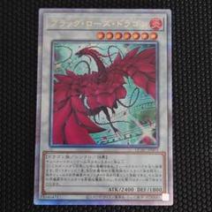 【売り切り価格】ブラックローズドラゴン まとめ売り y-023897.jpg