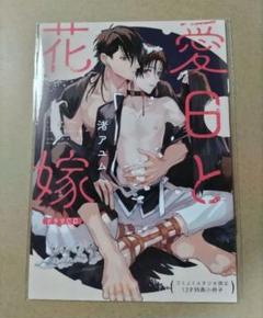 【特典のみ】ドラマCD『愛日と花嫁』コミコミ特典小冊子