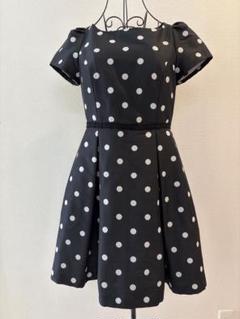 2025年最新】DOLLY GIRL BY ANNA SUI レディース ひざ丈