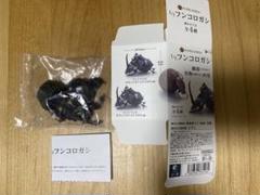 昆虫食 樹脂標本 Dung Beetle（糞虫） | 昆虫食(標本)の通販