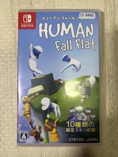 ヒューマンホールフラット Switchソフト