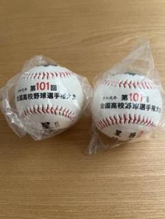 甲子園グッズ　令和元年101回全国高校野球選手権大会のサムネイル
