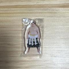 豊昇龍　力士アクリルスタンド　大相撲
