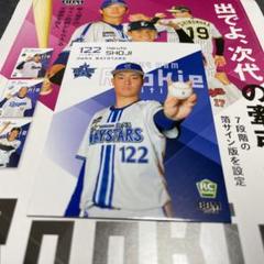 122 庄司陽斗|商品一覧|BAYSTORE ONLINE