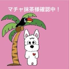 ボディバック トイプードル チワワ パネル生地 お散歩バック 犬