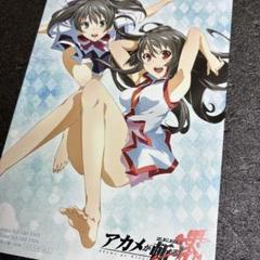 超限定　非売品 ！ アカメが斬る！ 直筆サイン入りポスター 超限定 非売品 ！ アカメが斬る！ 直筆サイン入りポスター