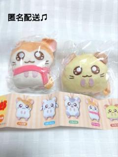 ハム太郎　マフラーちゃん＆チビ丸ちゃん　お手ておつなぎ　ぬいぐるみ ハム太郎マフラーちゃん＆チビ丸ちゃんお手ておつなぎぬいぐるみ