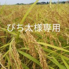 【ぴち太様専用】千葉県産 無農薬栽培 生落花生3種、新米コシヒカリ5キロ