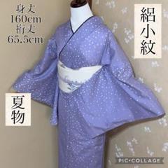 絽 小紋 洗える着物 重ね衿付き 藤色 方形散らし文様 160cm 単衣