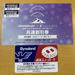 高鷲スノーパーク リフトICチケット2枚　50%OFF券2枚セット 高鷲スノーパーク リフト券