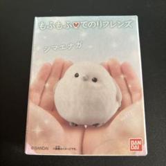 もふもふ♡てのりフレンズ シマエナガ 5羽 小鳥 スズメ 野鳥 アイドル 妖精 もふもふ・てのりフレンズ｜発売日：2024年4月22日｜バンダイ