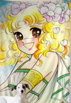 キャンディキャンディ タペストリー⑭