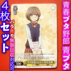 2025年最新】青ブタ 4コンの人気アイテム - メルカリ