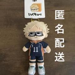 月島蛍 ジロリ ハイキュープラザ ハイキュー ロフト ポストカード ぬいぐるみ Amazon.co.jp: ハイキュー?? プラザ ロフト ジロリぬいぐるみ