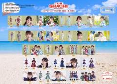 2025年最新】チームしゃちほこ 生写真の人気アイテム - メルカリ