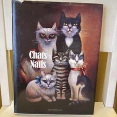 猫の洋書他3冊セット Amazon.co.jp: ずーっと猫と遊ぼう! 猫とのおたのしみ100 : 小泉