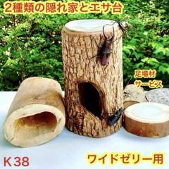 KK様用 クワリウム 天然クヌギ 天然樹 洞 佐賀県産 2025年最新】樹洞加工の人気アイテム - メルカリ