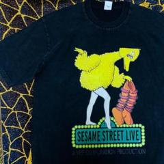 美脚 Big Bird ウォッシュ加工 半袖 Tシャツ 夏 新品 XL 2XL