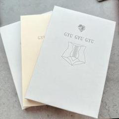 GYUGYUGYU 骨盤ショーツ