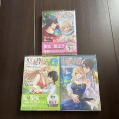聖森聖女1～3