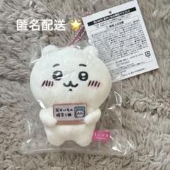 うさぎおかいもの検定マスコット　17体セット 2025年最新】おかいもの検定の人気アイテム - メルカリ