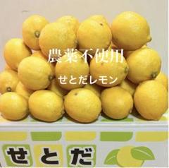 6国産瀬戸田レモン7.5kg前後 38国産瀬戸田レモン 6/7〜順番に発送 - メルカリ