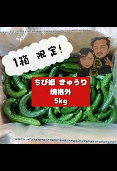 ちび姫きゅうり 5kg 秋田県産 - メルカリ