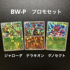 ポケモンカード　レジェンド、四天王、チャンピオン、BW、DS、プロモジャローダ等 198/BW-P ジャローダ： ラセンフォース・ライデンナックル