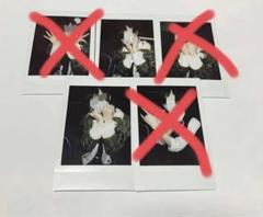 ⑫ せーぶぽいんと ゆき チェキ 5枚 せーぶぽいんと ゆき チェキ 探偵衣装 2枚