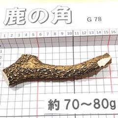 鹿の角　まとめ売り　8本セット 鹿の角 8本まとめ売り