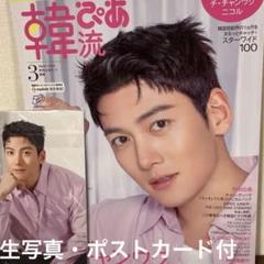 チチャンウク　雑誌まとめ20冊 チチャンウク 雑誌まとめ20冊