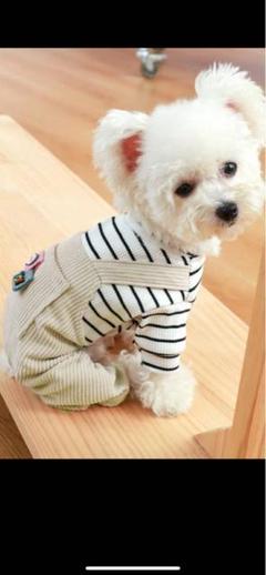 KAWATANI SHIRT 犬柄長袖シャツレディースL