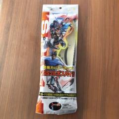 DSISソルボスパイクインソール