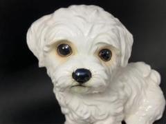 昭和レトロ イモトコレクション 陶器製 マルチーズ 小犬の置物