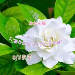 みかん☆さま確認ページ♡ とろける味わいご褒美 みかん 12個 たらみ ゼリー - アスクル