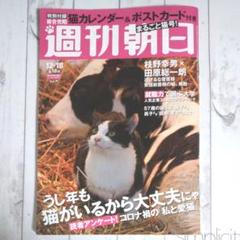 岩合 光昭 世界 の 猫 カレンダー 岩合 光昭 世界 の 猫 カレンダー