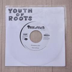 Youth of Roots／Strawberry Girl レコード Amazon.co.jp: YOUTH OF ROOTS STRAWBERRY GIRLレコード : おもちゃ