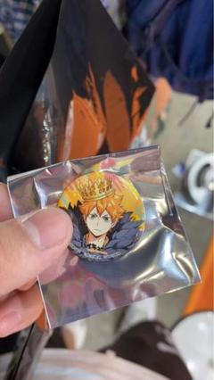 ハイキュー fan park ファンパーク ハイドリ 缶バッジ 日向翔陽