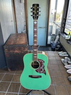 MOLALES  アコースティックギター 緑色 m34969189471_1.jpg?1725440665